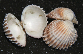 &copy; Casper Meinders